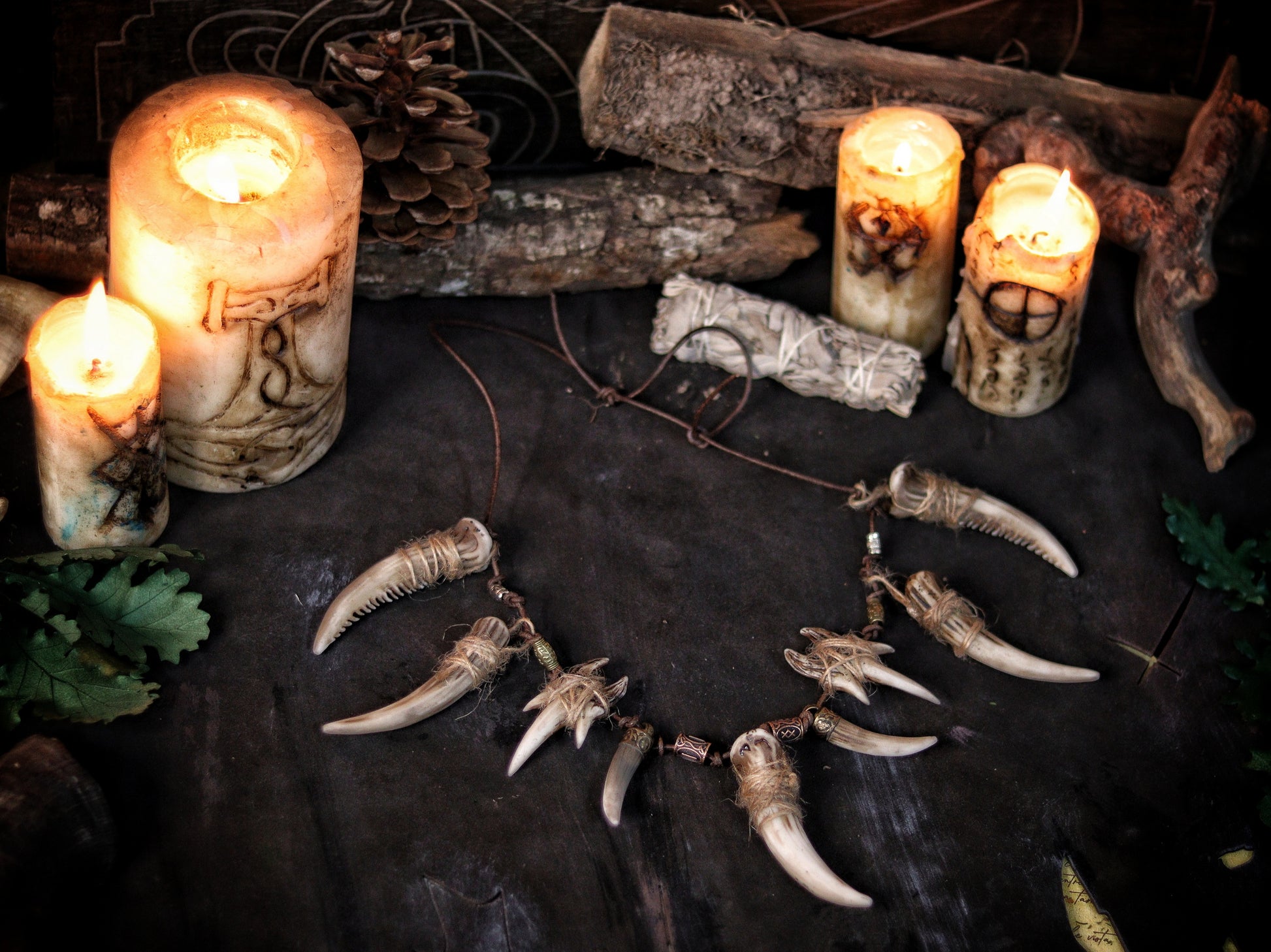 Celtic Tusk Necklace Viking ornament Tribal Shaman Druid with realistic resin fangs Orc LARP cosplay and post-apocalypse marauder