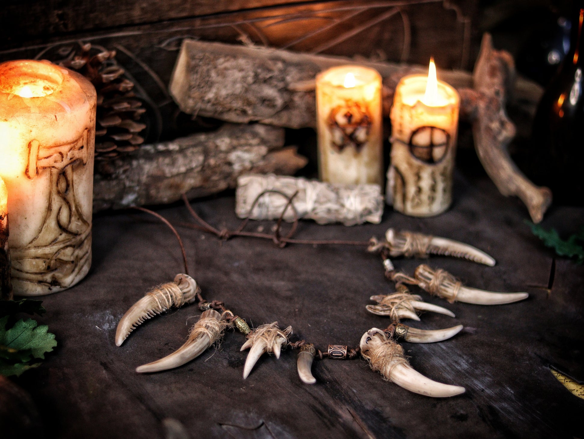 Celtic Tusk Necklace Viking ornament Tribal Shaman Druid with realistic resin fangs Orc LARP cosplay and post-apocalypse marauder