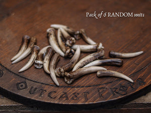 A scattered pile of hand painted resin fang tusks arranged on a wooden surface engraved with the Outcast Props logo. The tusks show natural variation in color and shape, aged bone finish and carved texture, making them ideal for cosplay prop supplies, diy fantasy crafting, tribal accessories, shaman costumes, creature design and rustic decorative projects. Pack of six random tusks displayed artistically.