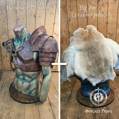 Warrior Leather armor set