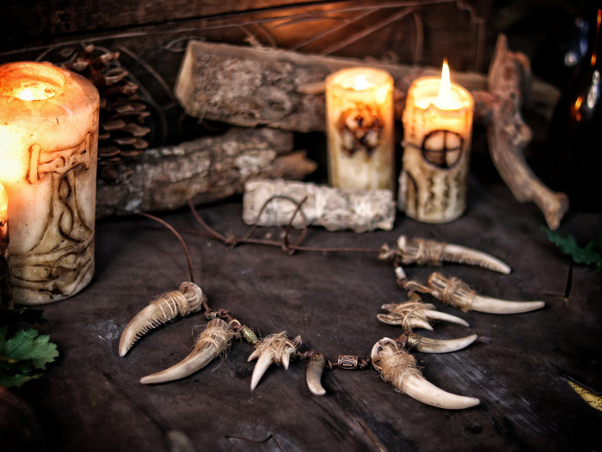 Celtic Tusk Necklace Viking ornament Tribal Shaman Druid with realistic resin fangs Orc LARP cosplay and post-apocalypse marauder