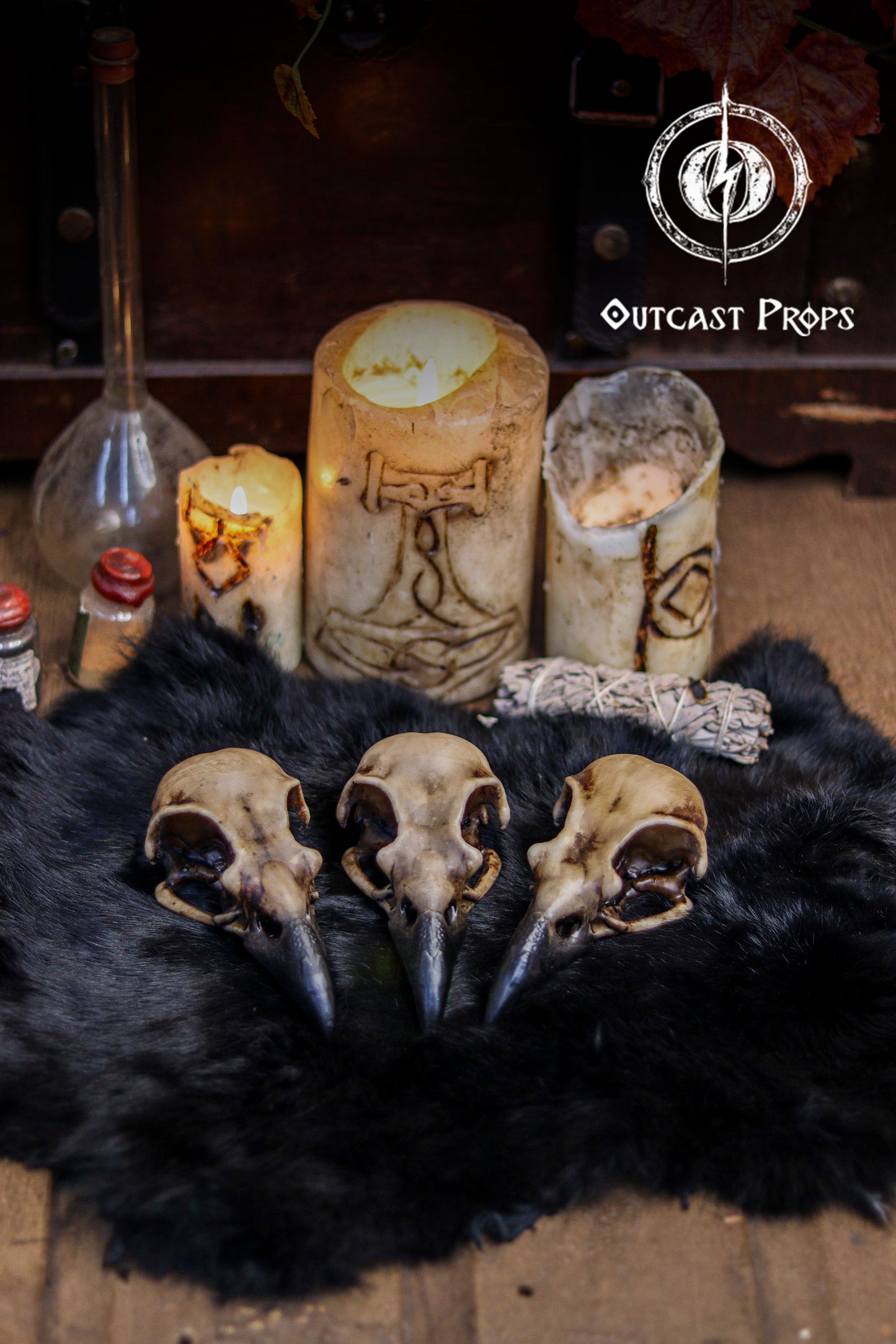 Resin Crow Skull Replica