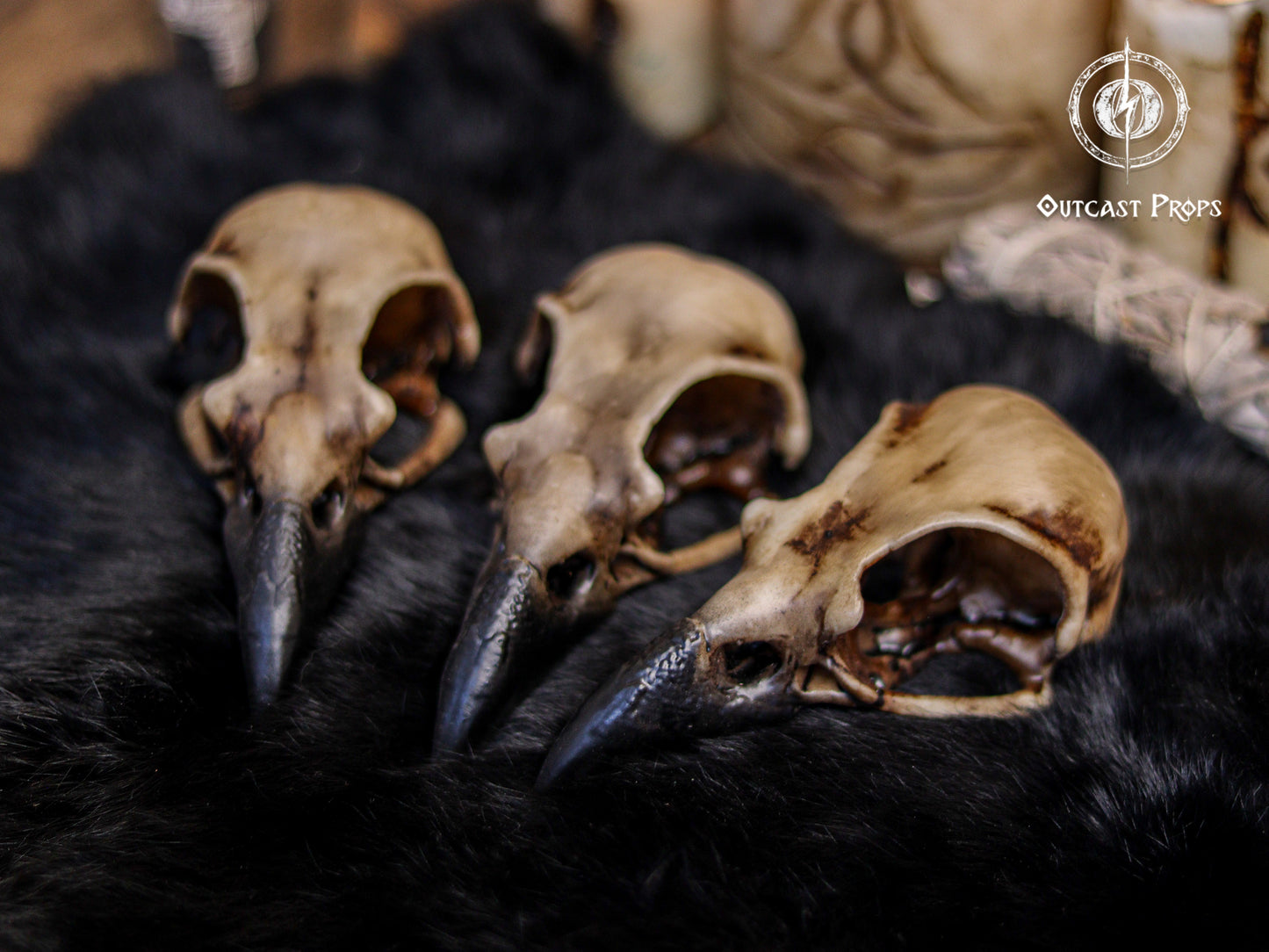 Close up of three resin crow skull replicas arranged on black fur, highlighting the aged bone finish, darkened beaks and hollow eye sockets. The background shows blurred gothic candles and ritual props that enhance the mysterious setting. These faux bone raven skull replicas are perfect for gothic decor, oddities decor, faux taxidermy, witch altar arrangements, jewelry craft components and creative LARP or cosplay prop making.
