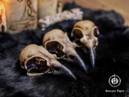 Three faux bone resin crow skull replicas lie on black fur, angled toward the viewer to show detailed texture, weathered bone coloration and hand painted aging. Gothic candles and ritual elements appear softly in the background, setting a witchcraft inspired mood. Ideal for faux taxidermy collectors, gothic decor lovers, oddities decor shelves, jewelry craft supplies, headdress building, cosplay props and LARP accessories requiring realistic raven skull replicas.