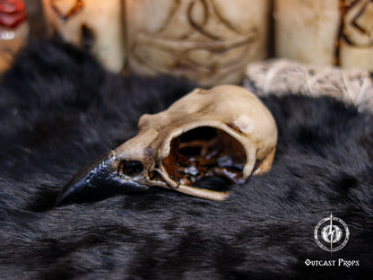 A single resin crow skull replica sits on black fur, displayed in profile to emphasize the hollow interior, dark beak, faux bone texture and hand painted aged bone finish. Behind it, blurred carved candles and ritual props create a gothic atmosphere. This faux bone raven skull replica is perfect for oddities decor, faux taxidermy collections, gothic decor, witch altar setups, jewelry craft projects, cosplay builds and detailed LARP props.
