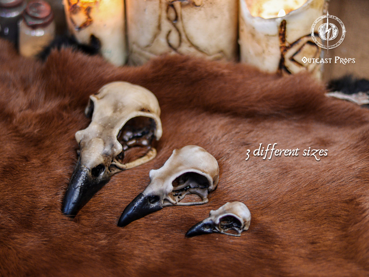 Resin Crow Skull Replica