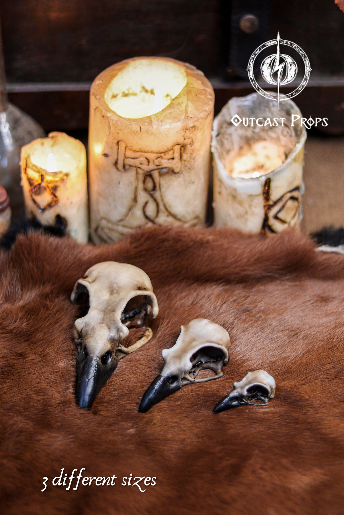 Resin Crow Skull Replica