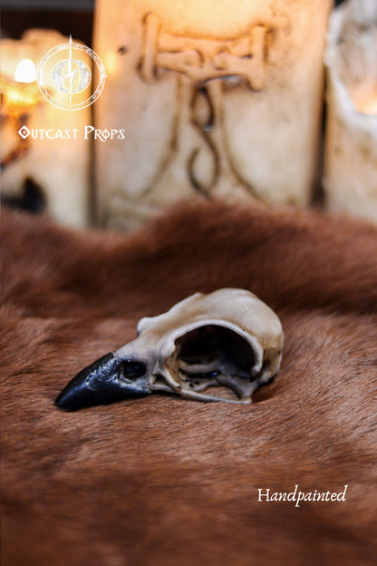 Resin Crow Skull Replica