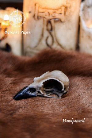 Resin Crow Skull Replica