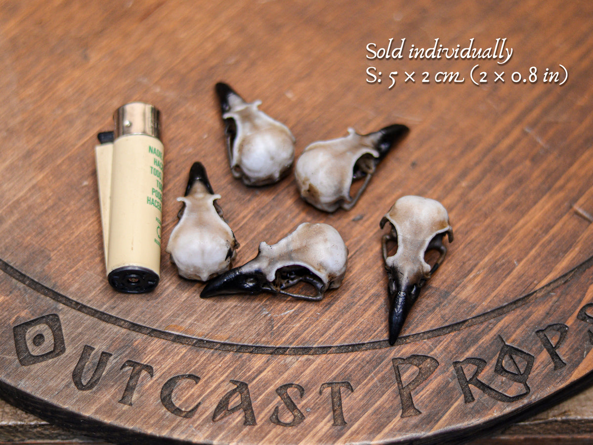 Six small resin crow skull replicas in size S rest on a wooden surface engraved with the Outcast Props logo, shown beside a lighter for scale. The faux bone raven skull replicas display detailed aged bone texture and dark beaks, ideal for jewelry craft, tiny cosplay props, gothic decor accents, oddities decor collections and faux taxidermy art. Text overlay indicates they are sold individually in size S, measuring 5 × 2 cm or 2 × 0.8 in.