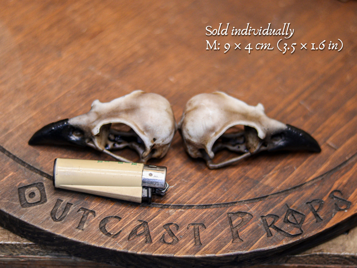 Two medium resin crow skull replicas in size M lie beside a lighter for scale on a wooden board engraved with the Outcast Props logo. The faux bone raven skull replicas show realistic aged bone paint, hollow eye sockets and dark beaks. Text overlay states they are sold individually and measure 9 × 4 cm or 3.5 × 1.6 in. Perfect for gothic decor, oddities decor shelves, faux taxidermy, cosplay props, LARP accessories and jewelry craft projects.
