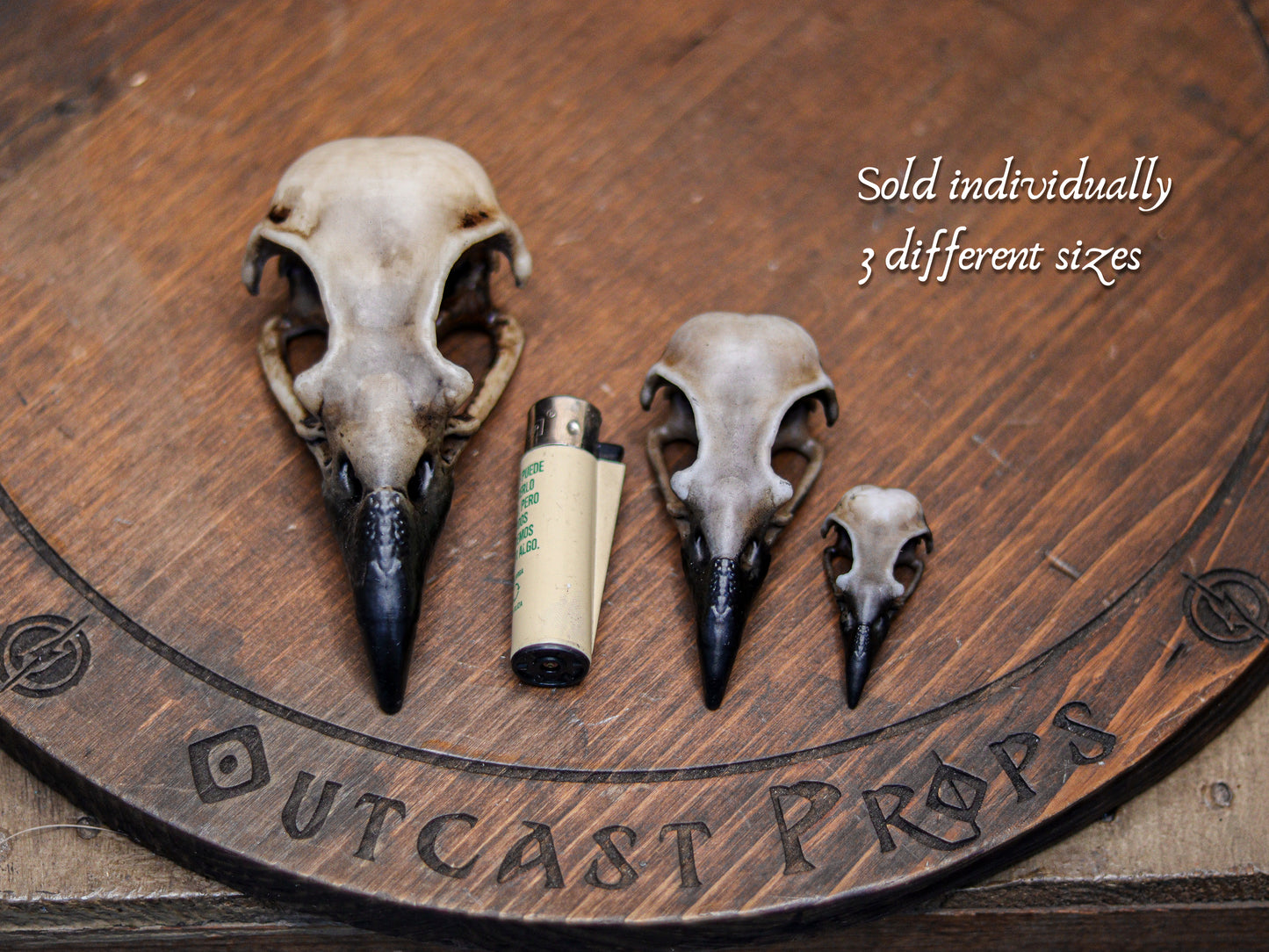 Three resin crow skull replicas in sizes L, M and S are displayed side by side on a wooden board engraved with the Outcast Props logo, with a lighter for scale. The faux bone raven skull replicas feature aged bone paint, dark beaks and hollow eye sockets. Text overlay notes they are sold individually and available in three different sizes. Perfect for gothic decor, oddities decor, faux taxidermy art, jewelry craft, cosplay props and LARP accessories.