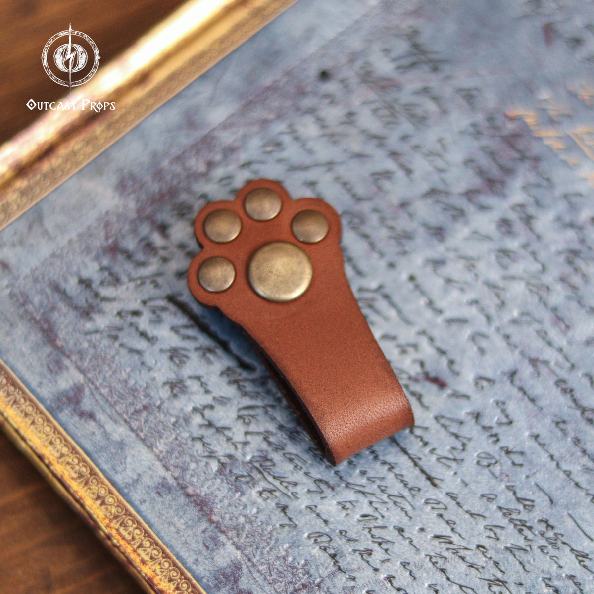 Paw cable organizer