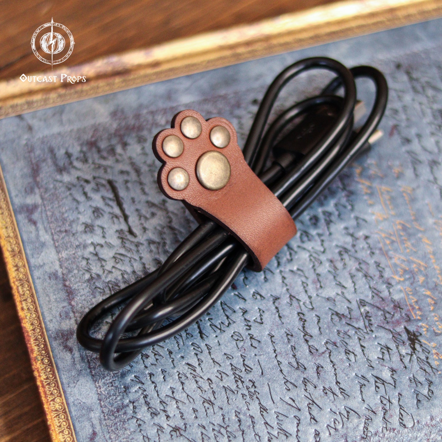 Paw cable organizer