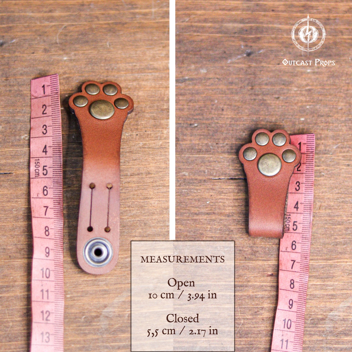 Paw cable organizer