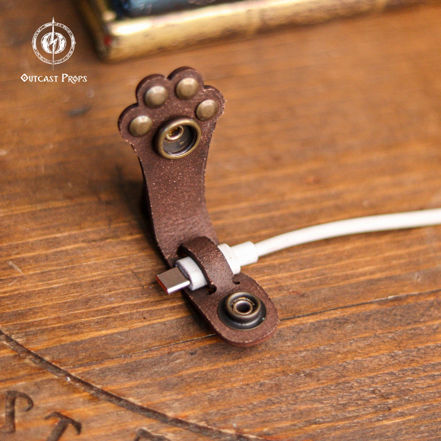 Paw cable organizer