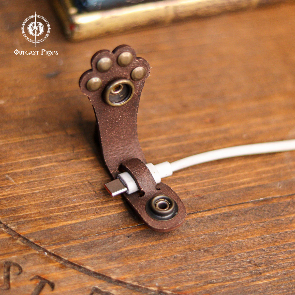 Paw cable organizer