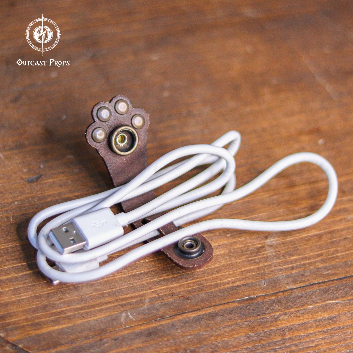 Paw cable organizer