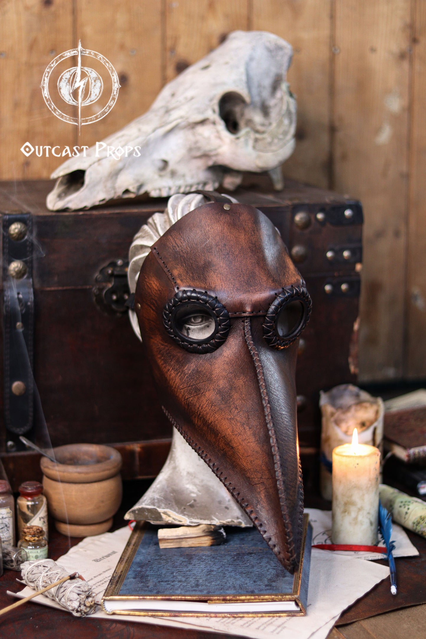 Plague Doctor Mask.