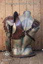 Warrior Leather armor set